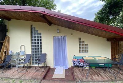 Casa de inchiriat Ultracentral str. Muresenilor cu gradina - 22