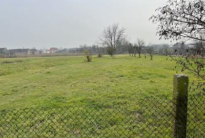 TEREN INTRAVILAN DINIAS - 1