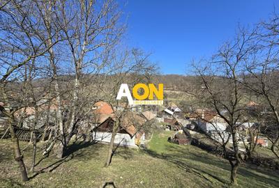 Casa de Vacanta 2 Camere, Strada Morilor Zlatna - 14