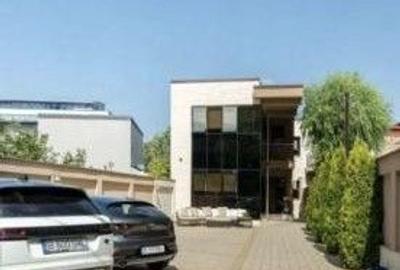 Vila stradala cu parcare  pretabila clinica ,birouri,horeca - 1