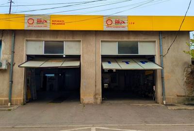 Brancoveanu I Teren 486 MP I Dubla Deschidere I - 3
