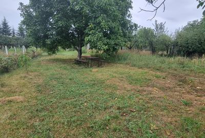 Loc de casa cartier Tulbureni - 1