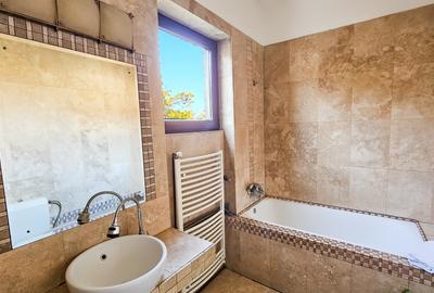 Apartament 3 camere Hala Traian -Bloc 5 apartamente - 10