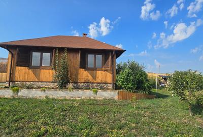 Teren cu cabanuta de lemn in Zaicesti - 2