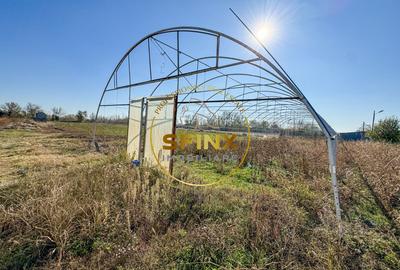 De vanzare ferma Calarasi in stare de conservare - sere - livada - 6