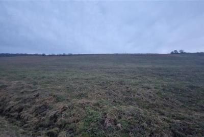 De vanzare teren 1,2 Ha in Laureni - 2