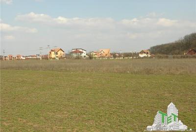 Teren 27000mp langa Padurea Baneasa Bucuresti - 4