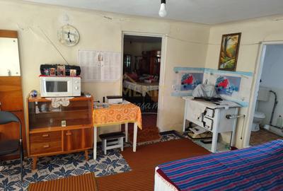 Casa Baicoi Central - 12