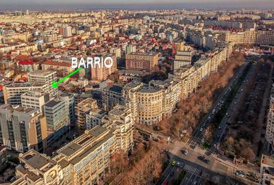 Spatii comerciale | 72-312 mp | Parter/Subsol | Barrio Residence Unirii - 8