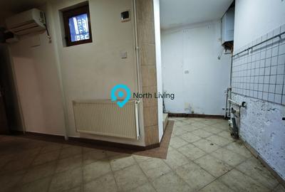 Apartament 4 camere, vilă, 120 mp, Hala Traian, investiție - 29