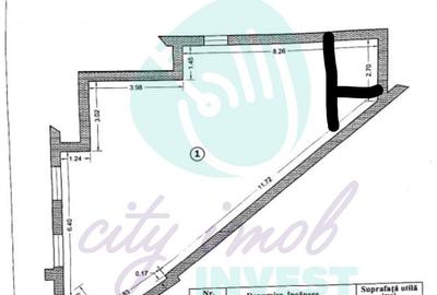 Spatiu special in vila interbelica, Armeneasca - 2