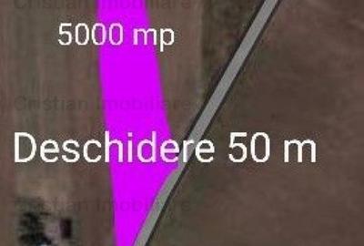Teren intravilan de 5000 mp, în Cazasu