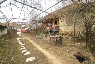 Proprietate în inima naturii gorjene – Satul Rasvovița, Comuna Lelesti! - 2
