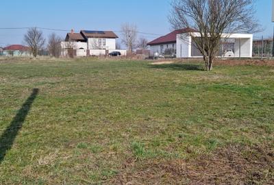Proprietar, vând teren, construcții case, Zona Lac, Dumbrăvița - 6