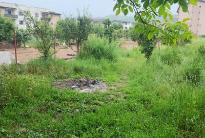 Teren Construcții intravilan de 3574 mp, în Florești