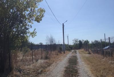 Loc de casă Fundeni (Frunzănești) - 5