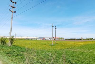 Teren industrial in Brasov-zona Magurele - 1