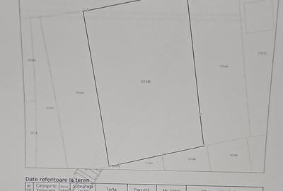 Exclusivitate MAG Invest – Teren 2300 mp Vanatori, ideal investitie - 8