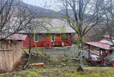 Cabană de vânzare com Deda, sat Bistra-Mureșului sau schimb - 11