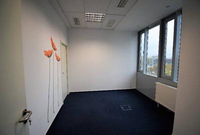 Sun Offices, Calea Vacaresti, 280 - 1331 mp  0% comision! - 16