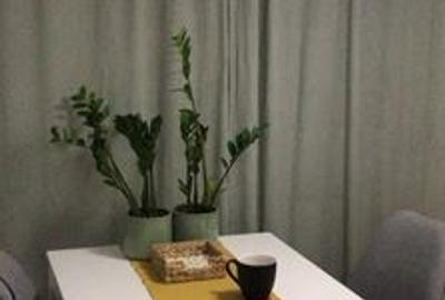 Apartament 2 Camere,Tineretului,bl.1981,reabilitat,parter/8,DECOMANDAT,Amenajat - 10