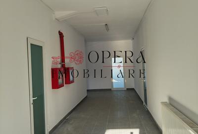 Spatii de birouri 45-120 mp de închiriat zona Galata -Iasi - 6