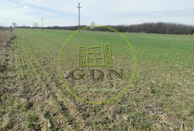 Teren extravilan de vanzare in Sacadat, 21.496 mp, cu deschidere de 42 m la E60. - 1