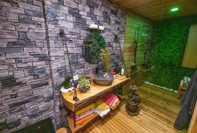 Vila de Vis cu Panorama Spectaculoasa ,INDEPENDENTA  ENERGETIC -Bucium - 21