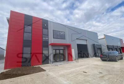 Hala industriala  Park  industrial Chiajna - 3