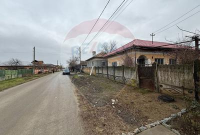 Casă / Vilă cu 3 camere de vânzare - 1