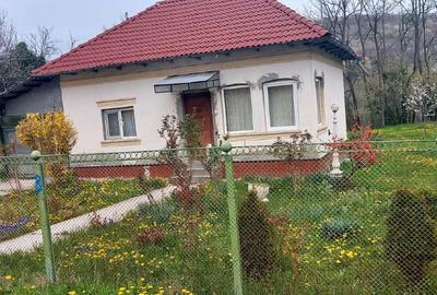 Casă de vânzare în jud Vâlcea, com Otesani,zona Bogdanesti - 1