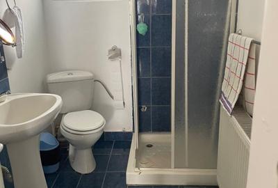 Casa 216mp cu vie si livada, 2500 mp teren – Horodistea, comuna Cotnari, Iasi - 14