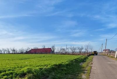 Comana intravilan, ultim lot (din 15), Delta, gaze, privat rate/credit - 4