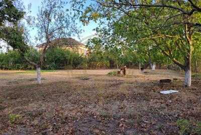 DOM00438 - De vanzare teren intravilan 1000 mp. Corbeanca - 2