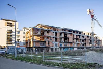Zona Linistita Acces Facil - 43