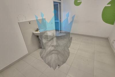 Spatiu Comercial Tei - 13