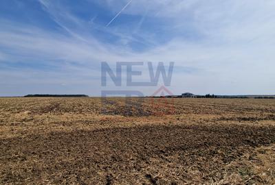 Teren de vanzare de 11.068 mp extravilan arabil in zona Belciugatele - zona lac - 1