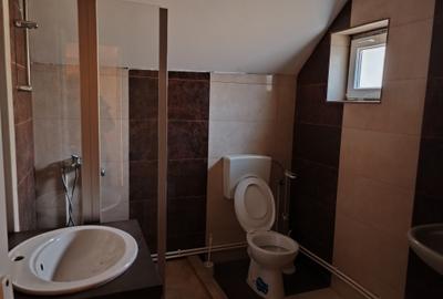 Casa 7 camere libera la vanzare SATU NOU - 19