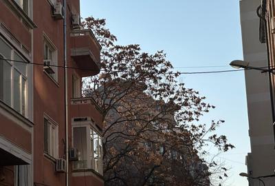 REC3001257 Spatiu comercial Universitate l Bloc Nou - 8