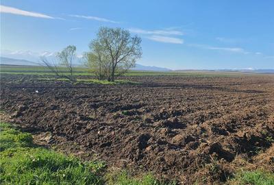 Teren extravilan 4.500- max.18.300mp in comuna Rosia (17 km de Sibiu) - 4