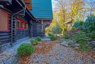 CASA INCONJURATA DE NATURA | DIN BUSTENI | 8 CAMERE | TIMISUL DE JOS - 36