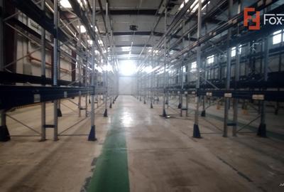 COMISION 0% Hala de productie si depozitare, corp administrativ si birouri - 7
