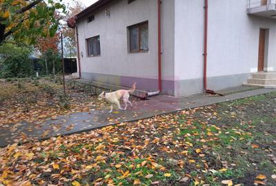 DE VANZARE CASA IN COM. BRANESTI (IF) - 35