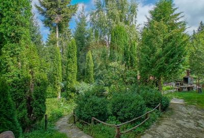 COMPLEX HOTELIER POTENTIAL EXTINDERE | PREDEAL CIOPLEA | 2734 MP TEREN - 20