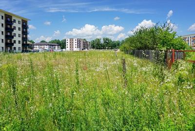 Teren Intravilan - Pretabil Investitie - Dezvoltare Rezidentiala - 4