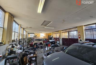 Casa Individuala cu functiune mixta (locuinta + afacere) - Bogdanestilor - 50