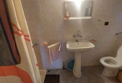 Cabana Lunca Bradului- 1200 mp teren - 5