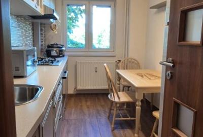 Proprietar - închiriez apartament de 2 camere zona Lacul Tei - 1