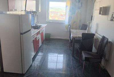 Apartament de inchiriat cu 2 camere, 55 mpu, mobilat, utilat, Sebes - 3