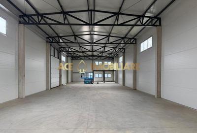 Spatiu Comercial | Hala | Afumati | DN2 | A0 | 420 MP - 1